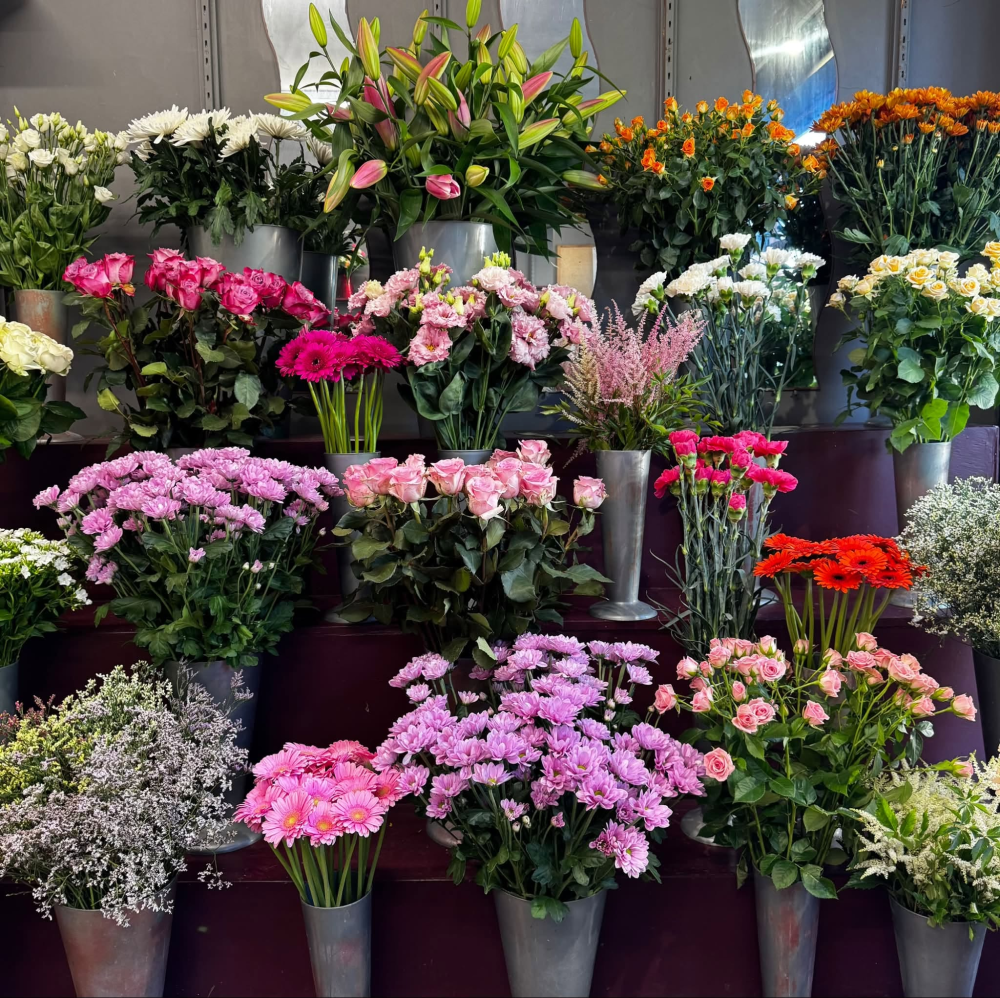 Florist Choice Product Image